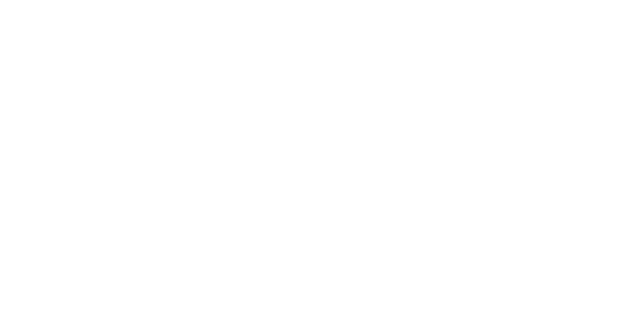 Slcto. Detail